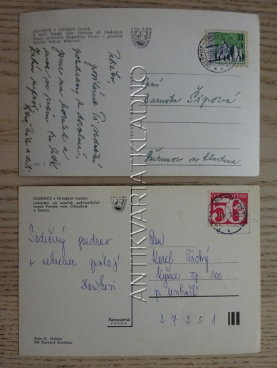 OLEŠNICE V ORLICKÝCH HORÁCH, OKRES RYCHNOV NAD KNĚŽNOU, 2 KUSY