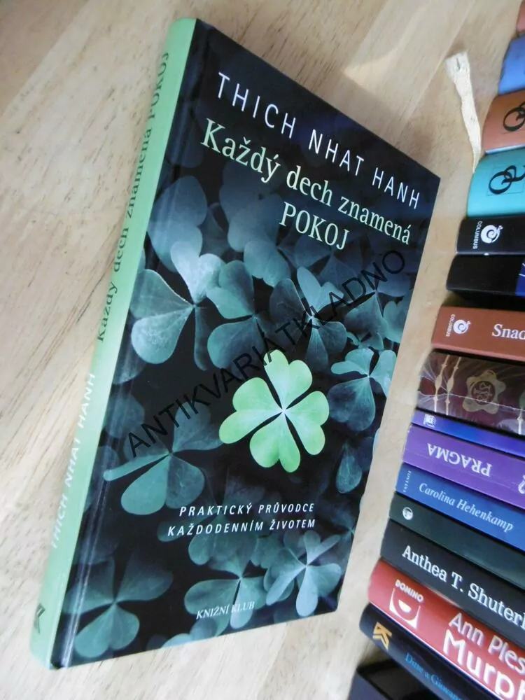 KAŽDÝ DECH ZNAMENÁ POKOJ, THICH NHAT HANH