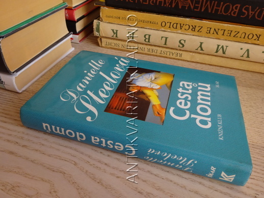CESTA DOMŮ, DANIELLE STEEL, **an