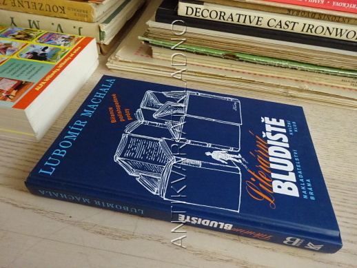 LITERÁRNÍ BLUDIŠTĚ, BILANCE POLISTOPADOVÉ PRÓZY, LUBOMÍR MACHALA, **an