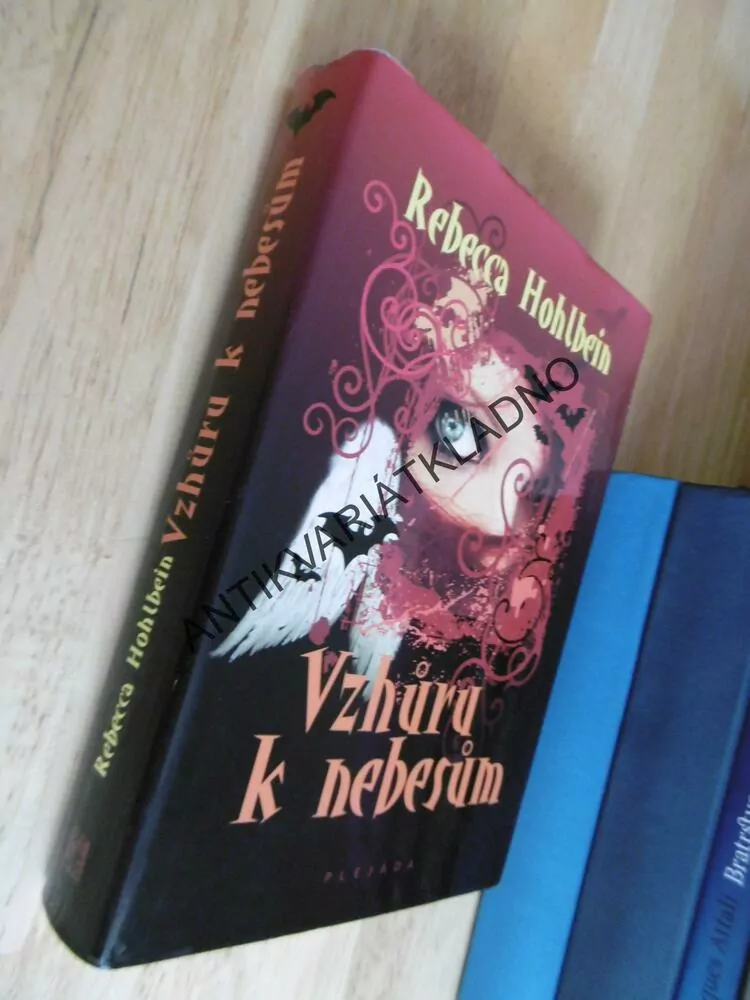 VZHŮRU K NEBESŮM, REBECCA HOHLBEIN