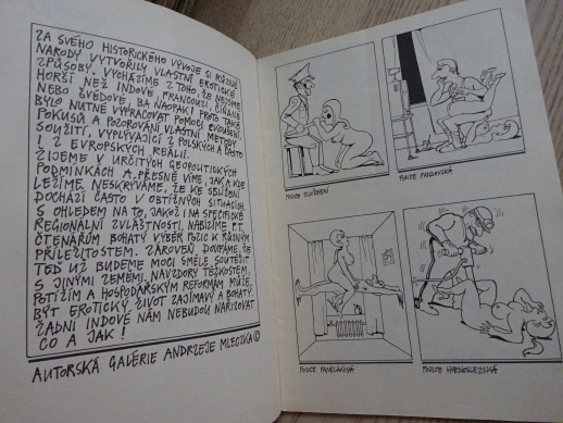 KÁMASÚTRA, 100 POZIC PRO KAŽDÉHO