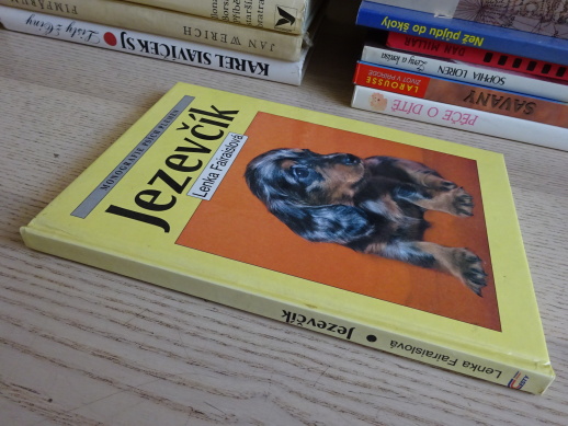 JEZEVČÍK, LENKA FAIRAISLOVÁ, **an