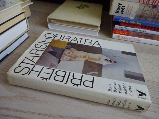 PŘÍBĚH STARŠÍHO BRATRA, ILONA BORSKÁ, **an