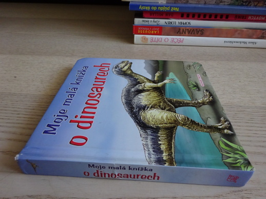 MOJE MALÁ KNÍŽKA O DINOSAURECH, DINOSAUŘI, **an