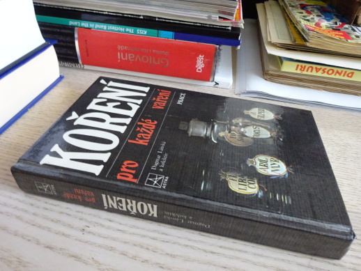 KOŘENÍ PRO KAŽDÉ VAŘENÍ, DAGMAR LÁNSKÁ, **an