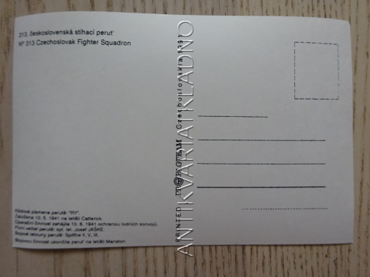 313. ČESKOSLOVENSKÁ STÍHACÍ PERUŤ, ČESKOSLOVENSKÁ ARMÁDA