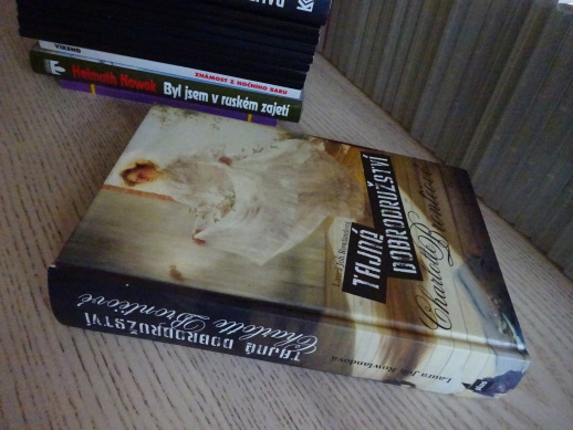 TAJNÉ DOBRODRUŽSTVÍ CHARLOTTE BRONTËOVÉ, LAURA JOH ROWLANDOVÁ, **an