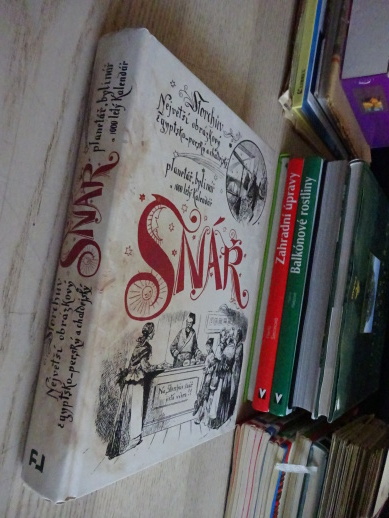SNÁŘ, **an