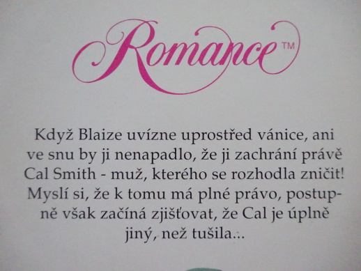 NEZKROTNÁ TOUHA, SALLY CARROVÁ, **an