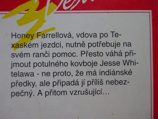 DIVOKÉ OČI, JOAN JOHNSTONOVÁ, **an