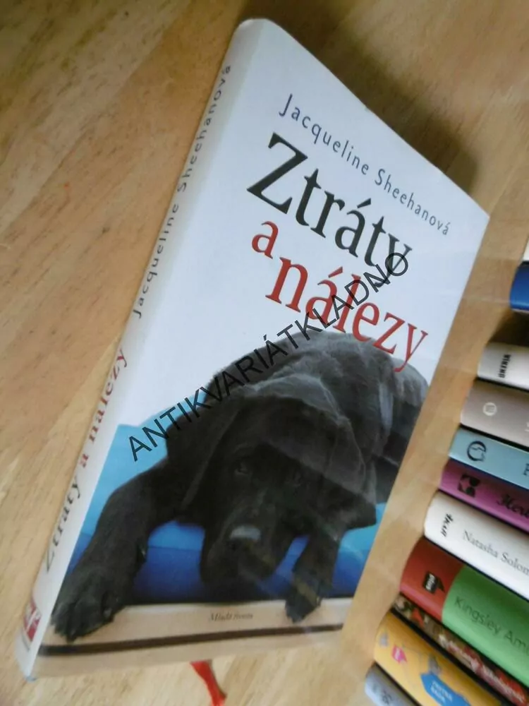 ZTRÁTY A NÁLEZY, JACQUELINE SHEEHANOVÁ