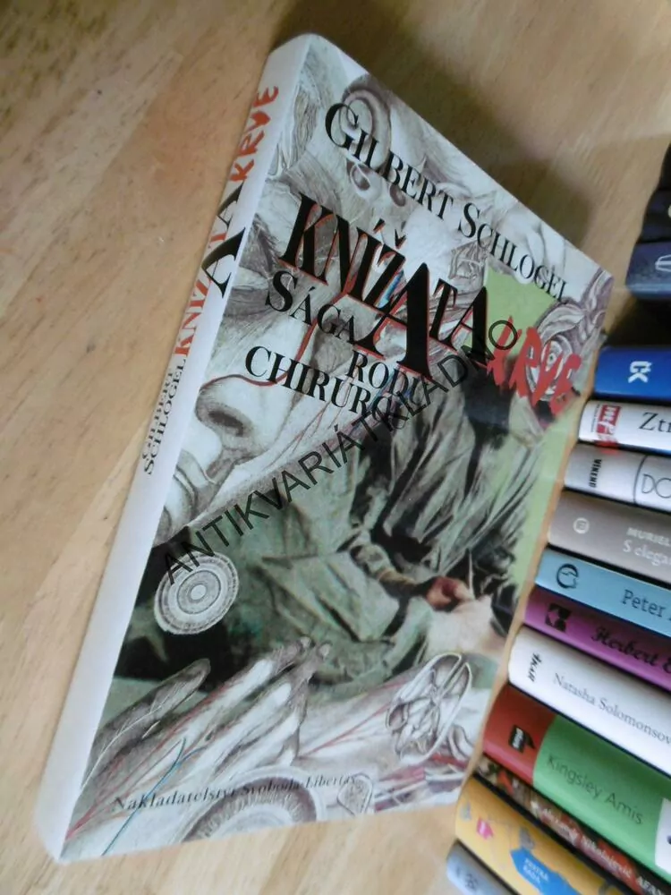KNÍŽATA KRVE, SÁGA RODU CHIRURGŮ, GILBERT SCHLOGEL **an