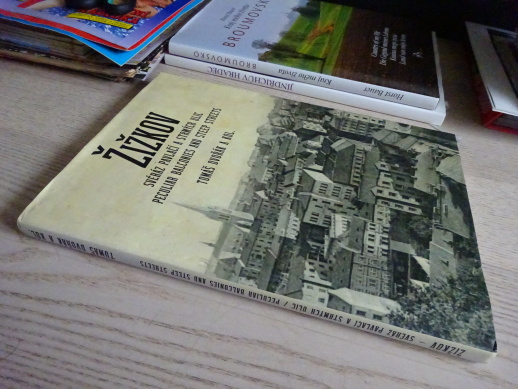 ŽIŽKOV, PRAHA, TOMÁŠ DVOŘÁK, **an