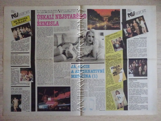 ČESKOSLOVENSKÝ NEI REPORT, 2/1993