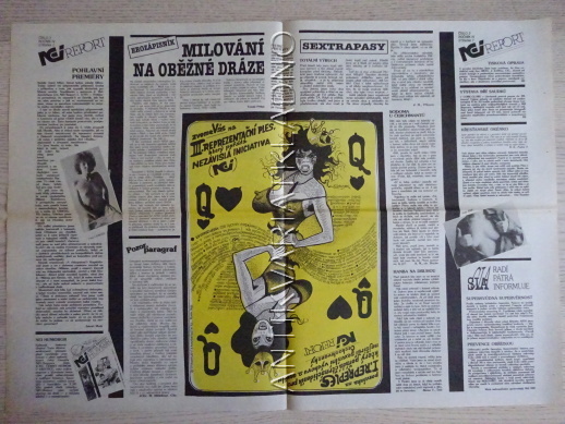 ČESKOSLOVENSKÝ NEI REPORT, 3/1993, KÁJA SAUDEK