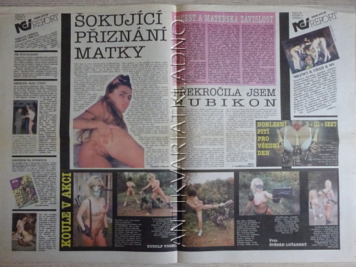 ČESKOSLOVENSKÝ NEI REPORT, 22/1993, KÁJA SAUDEK