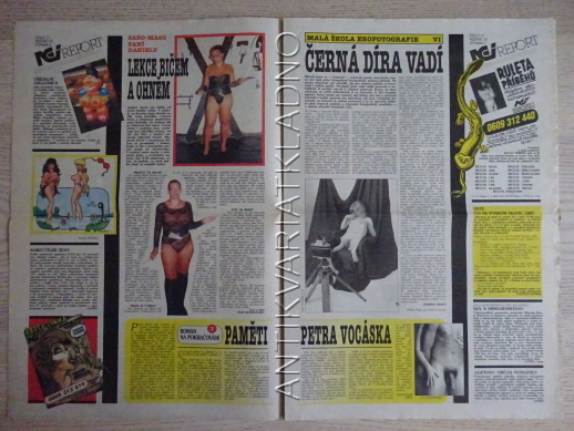 ČESKOSLOVENSKÝ NEI REPORT, 17/1996, KÁJA SAUDEK
