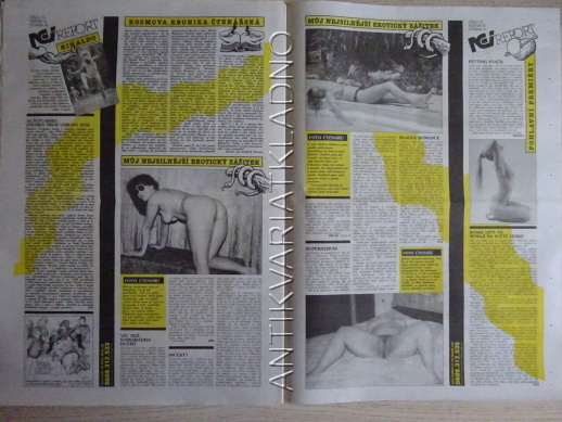 ČESKOSLOVENSKÝ NEI REPORT, 10/1998, KÁJA SAUDEK