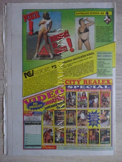 ČESKOSLOVENSKÝ NEI REPORT, 19/1998