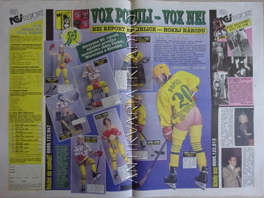 ČESKOSLOVENSKÝ NEI REPORT, 22/1998