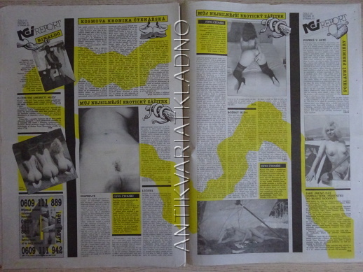 ČESKOSLOVENSKÝ NEI REPORT, 25/1998