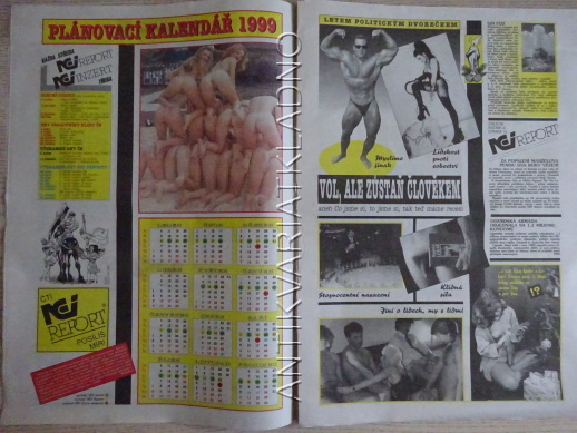 ČESKOSLOVENSKÝ NEI REPORT, 26/1998, KÁJA SAUDEK