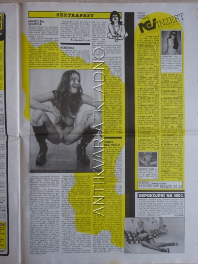 ČESKOSLOVENSKÝ NEI REPORT, 2/1999