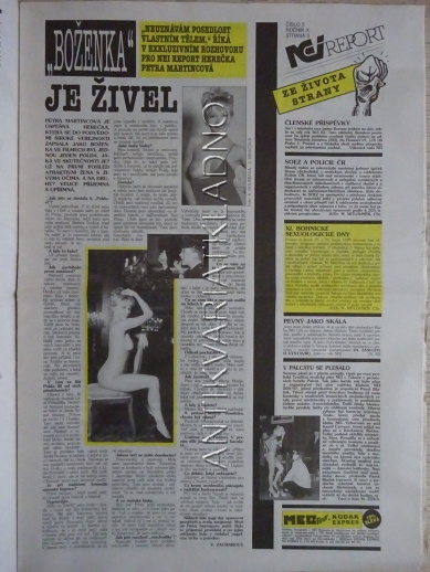 ČESKOSLOVENSKÝ NEI REPORT, 5/1999