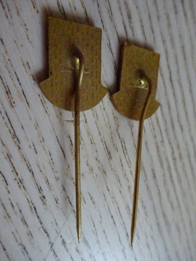 HORNICTVÍ, 2X ODZNAK