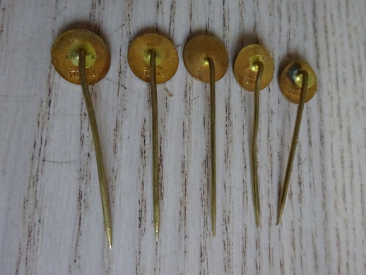 ŠKODA MLADÁ BOLESLAV, 5X ODZNAK