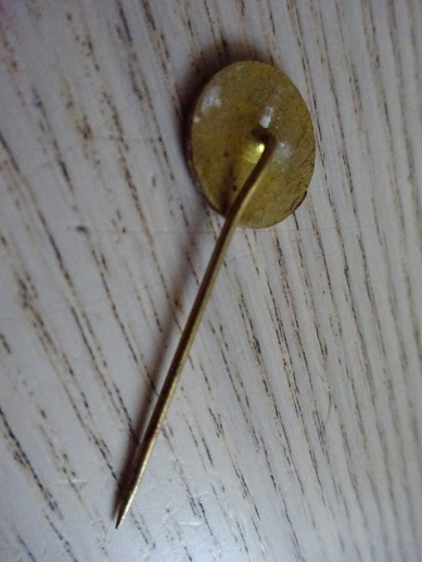 RÁJ PŘEŠTICE, ODZNAK