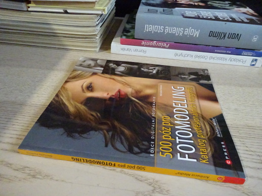 500 PÓZ PRO FOTOMODELING, KATALOG PROFESIONÁLNÍCH FOTOGRAFŮ, MICHELLE PERKINS, **an