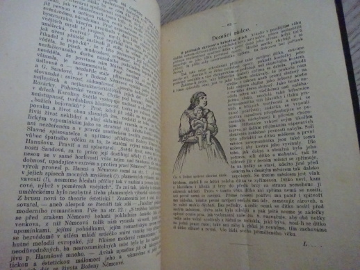 DOMÁCÍ HOSPODYNĚ, REDAKCE MILOSLAVY PROCHÁZKOVÉ, 1889, **an
