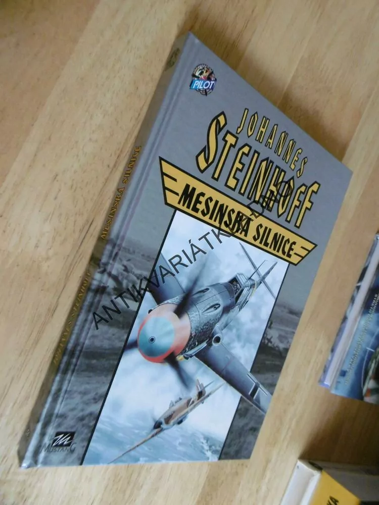 MESINSKÁ SILNICE, JOHANNES STEINHOFF, **an