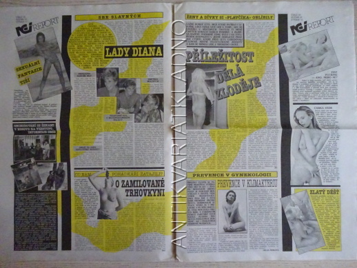 ČESKOSLOVENSKÝ NEI REPORT, 19/2000