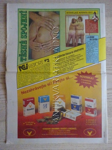 ČESKOSLOVENSKÝ NEI REPORT, 3/2001