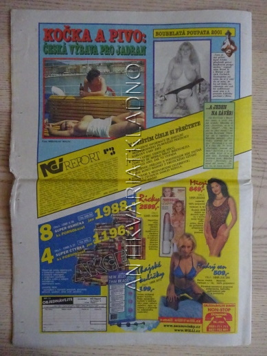 ČESKOSLOVENSKÝ NEI REPORT, 14/2001