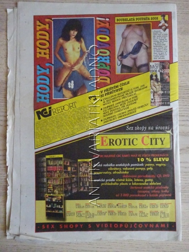 ČESKOSLOVENSKÝ NEI REPORT, 7/2002