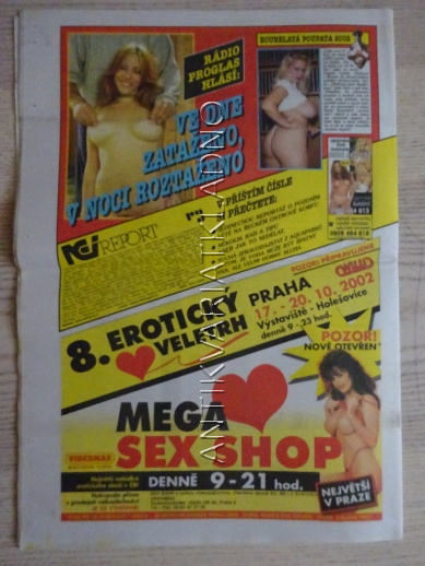 ČESKOSLOVENSKÝ NEI REPORT, 18/2002