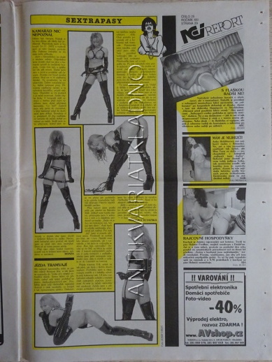ČESKOSLOVENSKÝ NEI REPORT, 25/2002