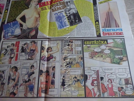 ČESKOSLOVENSKÝ NEI REPORT, 25/2003