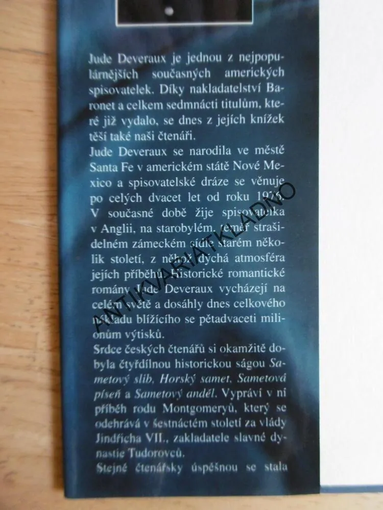 ZTRACENÁ DÁMA, JUDE DEVERAUX, **an