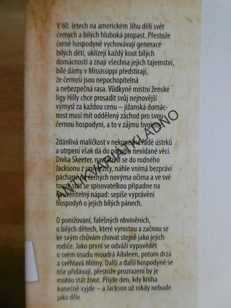 ČERNOBÍLÝ SVĚT, KATHRYN STOCKETTOVÁ, **an