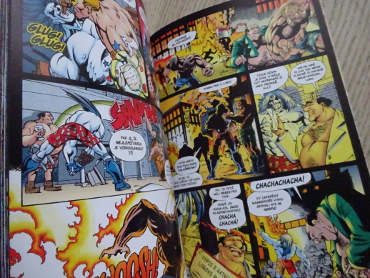LOBO, INCIDENT NA PÁNSKÝCH ZÁCHODCÍCH A DALŠÍ PŘÍBĚHY, KOMIKS DC COMICS,**an