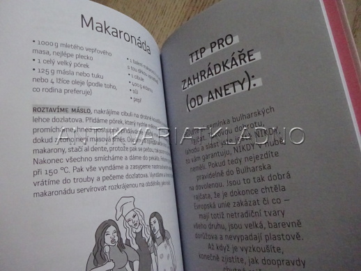 STARÁ TLUSTÁ BLBÁ ANEB STB ZASAHUJE, FINKOVÁ, CHRISTOVOVÁ, PIRICHOVÁ, **an