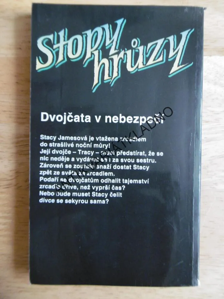 STOPY HRŮZY 14 - NEZNÁMÁ V ZRCADLE, LYNN BEACHOVÁ
