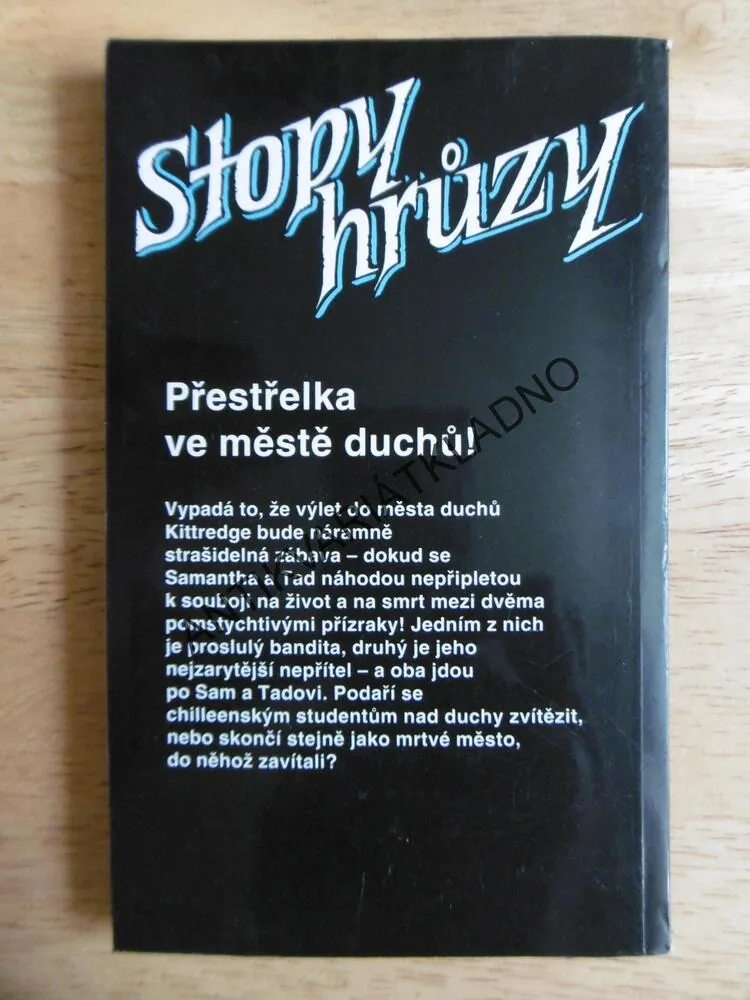 STOPY HRŮZY 20 - TAJEMSTVÍ MRTVÉHO MUŽE, LYNN BEACHOVÁ