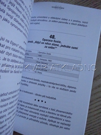 PROFESIONÁLOVÉ ANEB STRUČNÝ MANUÁL PRO PŘÍZNIVCE STEJNOJMENNÉHO TELEVIZNÍHO SERIÁLU, RICHARD ULMAN, **an