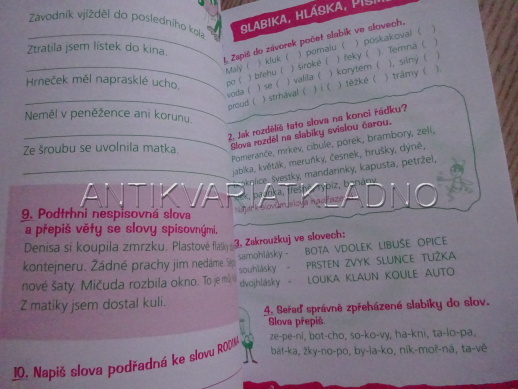 PORADÍM SI S ČEŠTINOU, Č. 2, **an